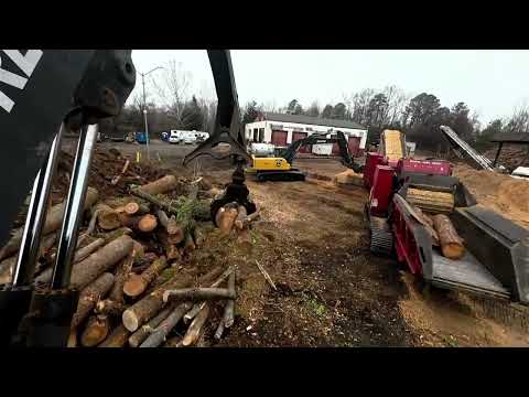 Grind Time! Diamond Z and Bandit Beast Livestream! Episode 5!