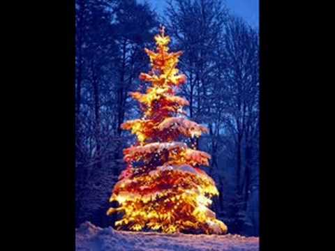 Amanda Lepusińska- White Christmas