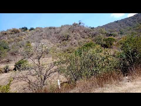 recordando lo que fue el ferrocarril del sur