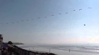 The Free Mexican Air Force