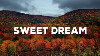 Download lagu Sweet Dream  - Jang Nara | Best Guitar Ronamtic Music mp3 Download lagu Sweet Dream  - Jang Nara | Best Guitar Ronamtic Music mp3