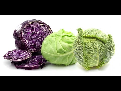 , title : 'Vegetable of the Day - Cabbage'