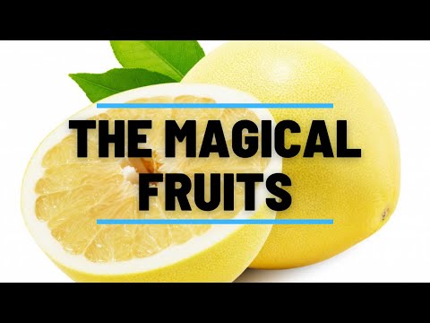 🆕white Grapefruit Benefits And How To Make Its Juice How To Make Fresh Grapefruit Juice Top Video