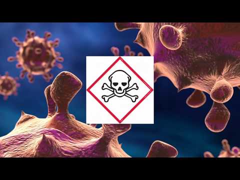 STA SU VIRUSI? 3 NAJVECE EPIDEMIJE U ISTORIJI