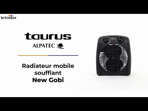 Radiateur soufflant - mobile - salle de bains - New Gobi ALPATEC