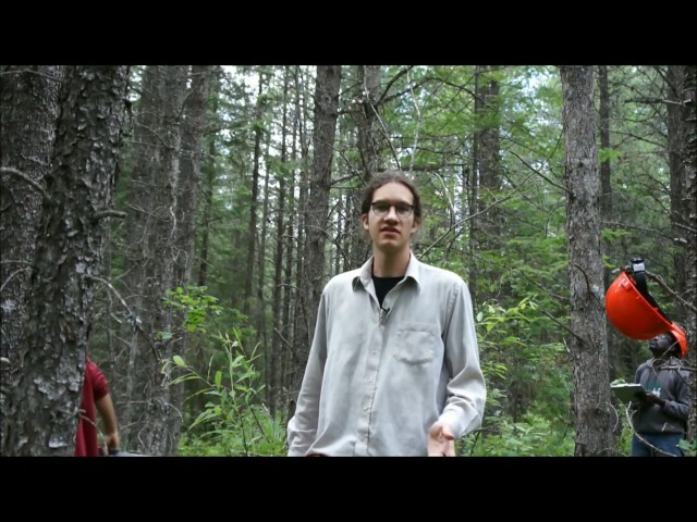 Mon premier stage à la MGDEF – par Félix