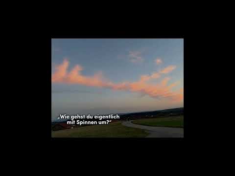 #keinebezahltewerbung