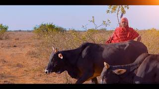 LKERETI  KING LAISO OFFICIAL 4K VIDEO