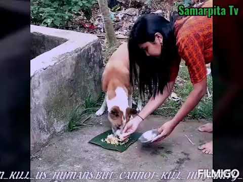 #SPECIAL DRIVE FOR STREET ANIMALS #Covid19 time