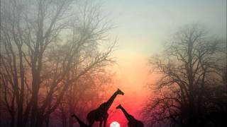 Someone to watch over me.