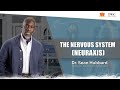 The Neuraxis