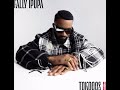 Fally Ipupa Tokooos 2 Mix Album Complet By Dj Rolex05