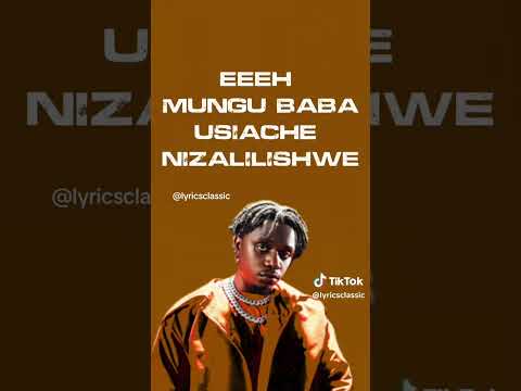 rayvanny ft dayoo nitambe (official video)