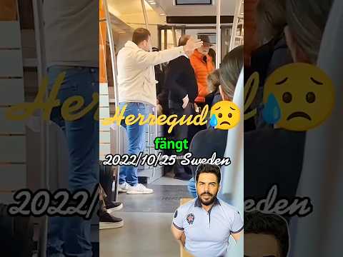 Ein moderner Wikinger sorgt im Zug für Ordnung!