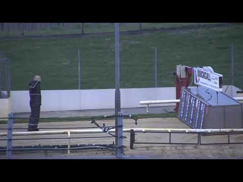 2021 GEORGE ING ST LEGER - HEAT 1 - T4 BURGESS PUMA