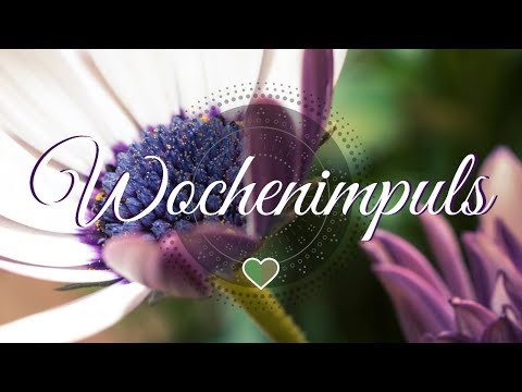 🌷 Wochenimpuls 25.2.-3.3. 🌷 Zeitfrage ~ Liebe ~ Beruf Berufung 🌷