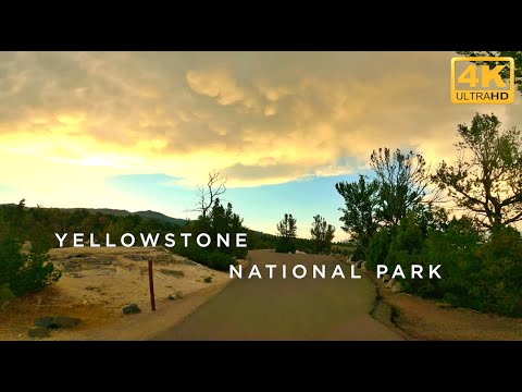 Yellowstone National Park, Drive to Mammoth Hot Springs 4K Video, Relaxing with Amazing View [4K]