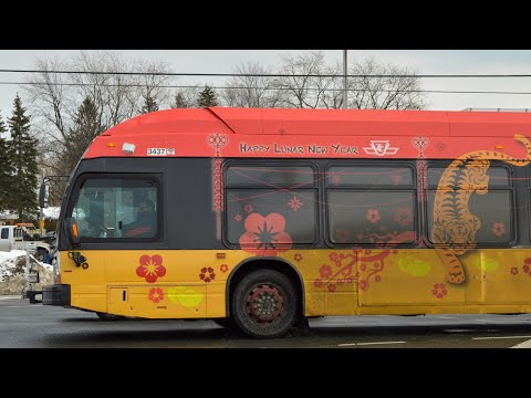 TTC Bus 166 • Lunar New Year & Black History Month Wraps
