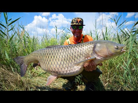 FEEDERMANIA - Kiskunsági torpedók