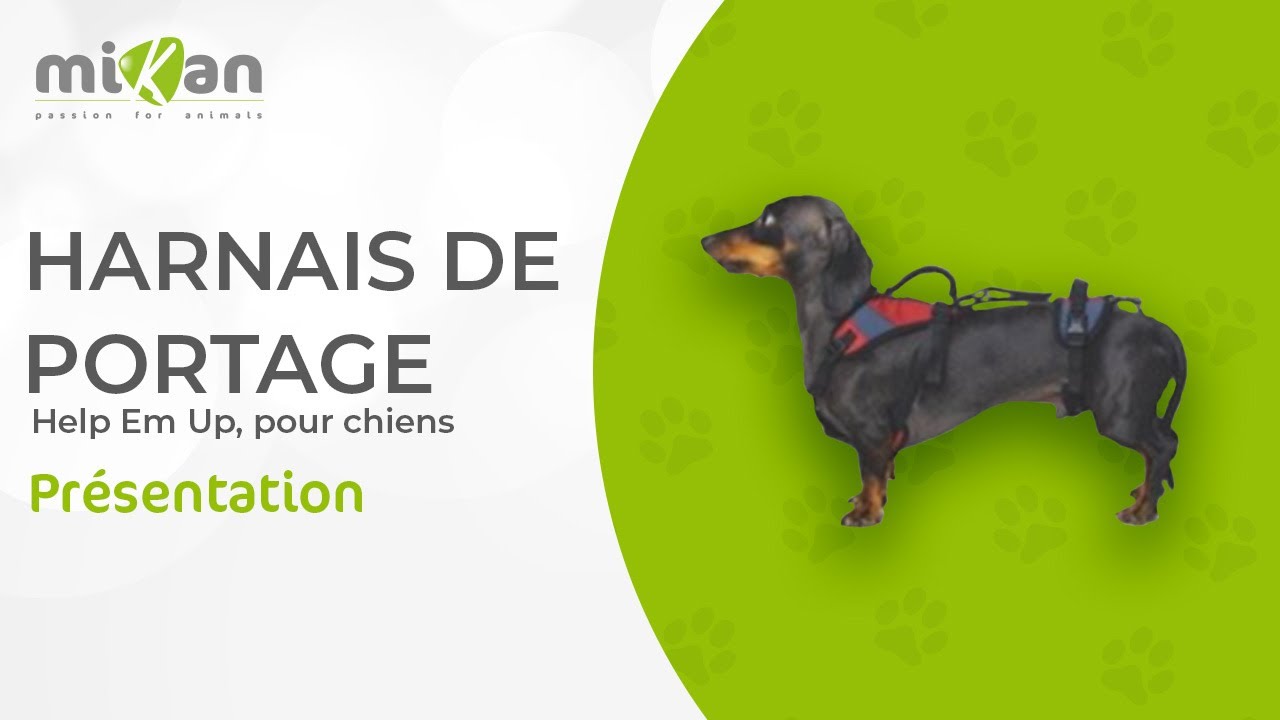 Harnais Help Em Up