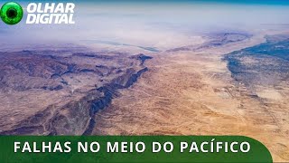 Miniatura do vídeo
