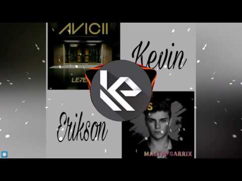 Animals(Martin Garrix) vs Levels(Avicii) - Kevin Erikson mashup