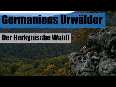 The Hercynian Forest – the green hell of Germania!