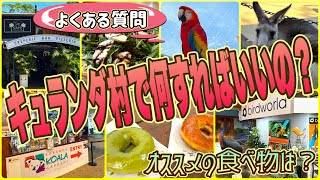 【ケアンズお薦めツアー】キュランダ村で何をすればいいの?何を食べよう? 「KOALA GARDENS」 「BIRDWORLD」 第710ページ AUSTRALIA CAIRNS CHANNEL