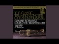 Trumpet Concerto in E Major, WoO 1, S49: II. Andante