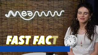 'American Princess' star Georgia Flood shares some fast facts about herself video