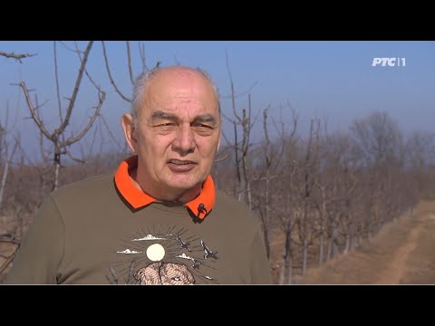 Dejan Ilic - Kvadratura kruga RTS