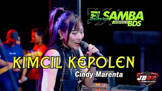 Download lagu KIMCIL KEPOLEN//CINDY MARENTA//ELSAMBA DutCom BDS live TENGARAN mp3
