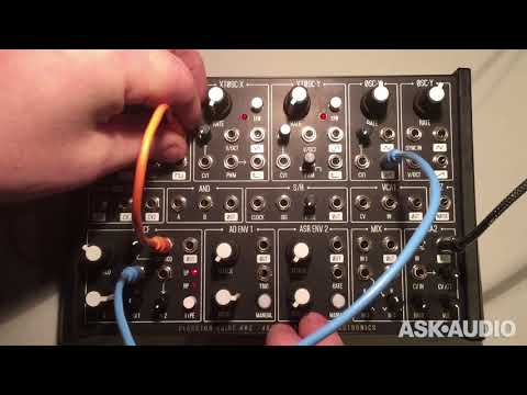 Plankton Electronics Ants! Semi-Modular Desktop Synth image 3