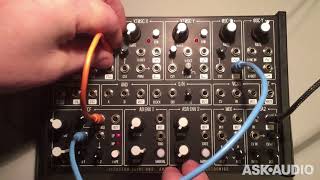 Video thumbnail for Plankton Electronics ANTS! Semi-Modular Analog Synth Review by Ask.Audio