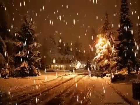 Petr Muk - Lásku poznáš jizvou