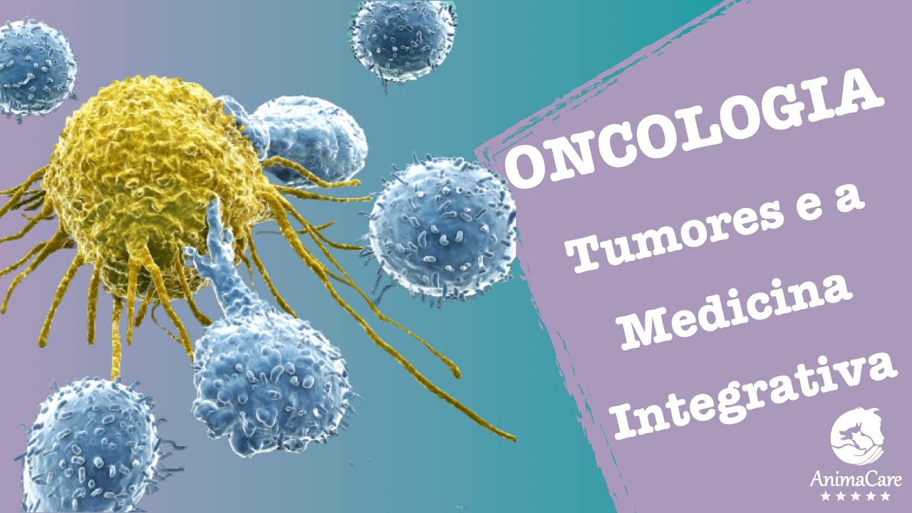 Oncologia e Medicina integrativa para tumores - Oncologia Veterinária - Dra Juju