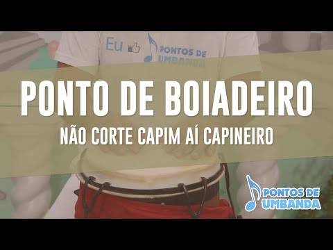 Capa do vídeo: Não corte capim aí capineiro