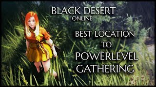 Black Desert Online - The ABSOLUTE BEST LOCATION f