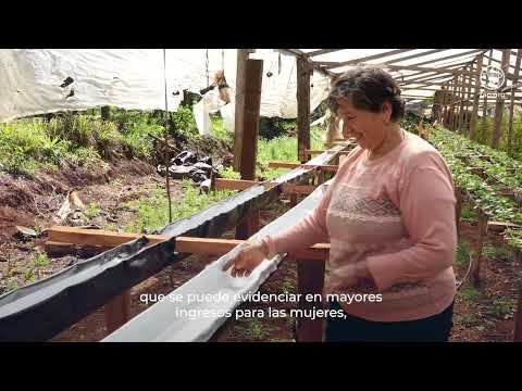 Mujeres del bosque nativo: producción, identidad y cuidado en la ruralidad argentina
