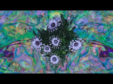 {The Gray} {The Gray} Best Songs