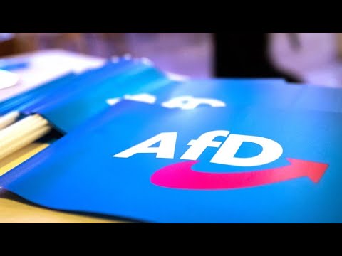 Video Thumbnail: Rechtsextremistischer Verdachtsfall: Wie der Verfassungsschutz die AfD einstuft