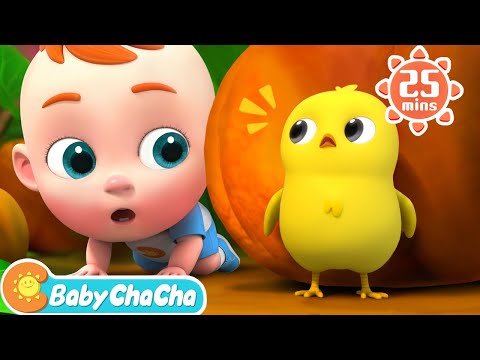 Little Chick Search Song | Little Chick, Where Are You? + Baby ChaCha Nursery Rhymes & Kids Songs