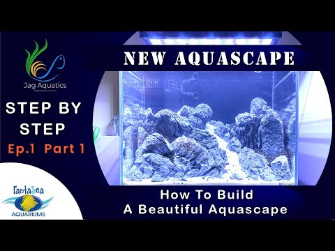 HOW TO BUILD A BEAUTIFUL AQUASCAPE   STEP BY STEP   EPISODE 1   PART 1   HARDSCAPE LAYOUT
