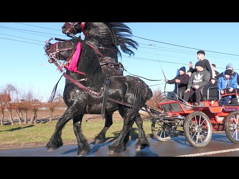 Parada cailor de la Bilca - Suceava - Bucovina 2025