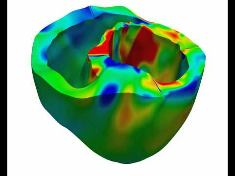 vad normal basic atp