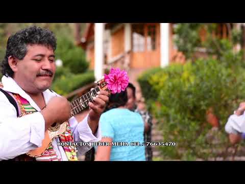 HEBER MEJIA - DAME UNA COPITA