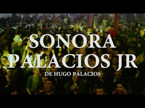 Sonora Palacios Jr de Hugo Palacios / Mix Loco Loco y Daniela