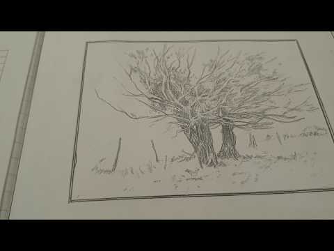 Skeppende Kunste GRAAD 9: 28 April 2020 - periode 4 (2894)