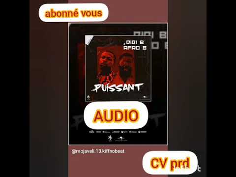 DIDI B feat AFRO B _-puissant-_AUDIO