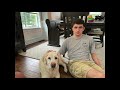 Murphy S Slideshow
